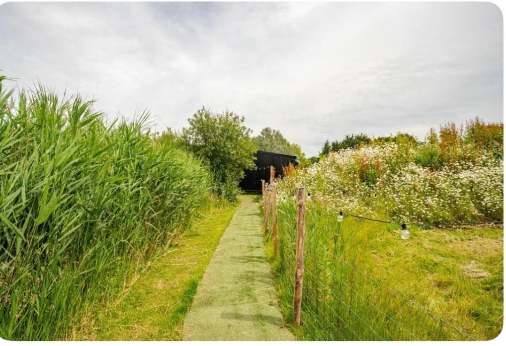 Reeds Retreat Casa de Férias Ashford (Kent)